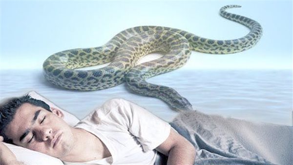 Le serpent dans le rêve
