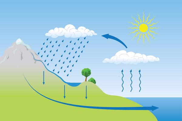 تؤثر دورة الماء وحصول الهطول على الطقس