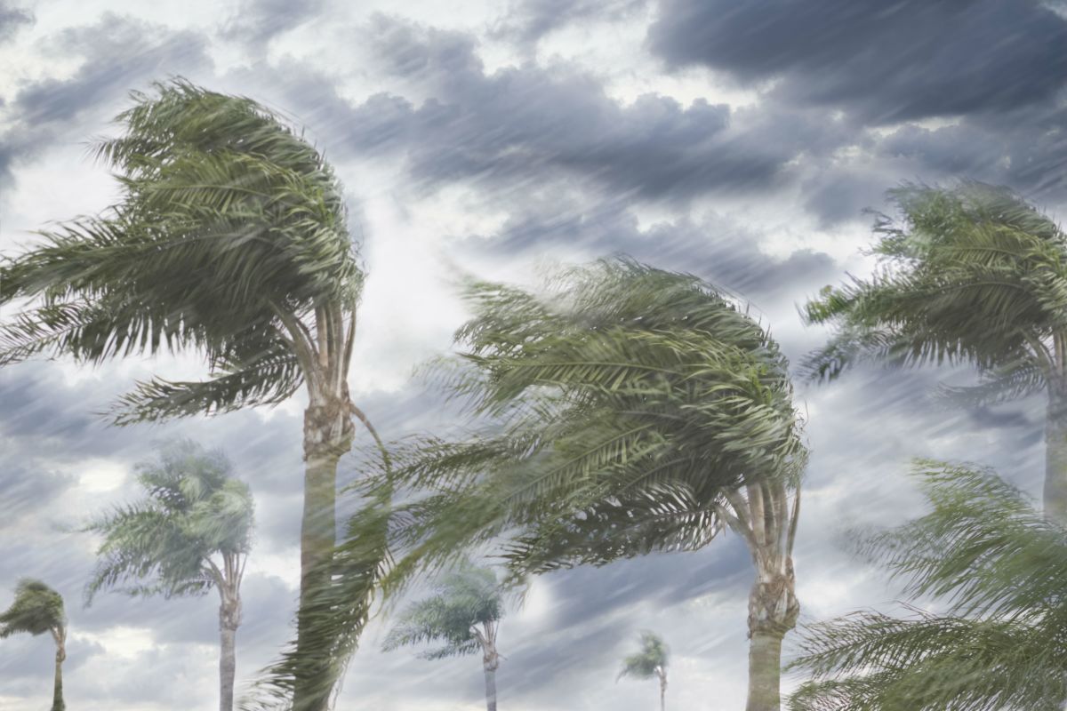 Fortolkning af visionen om stærke vinde og storme