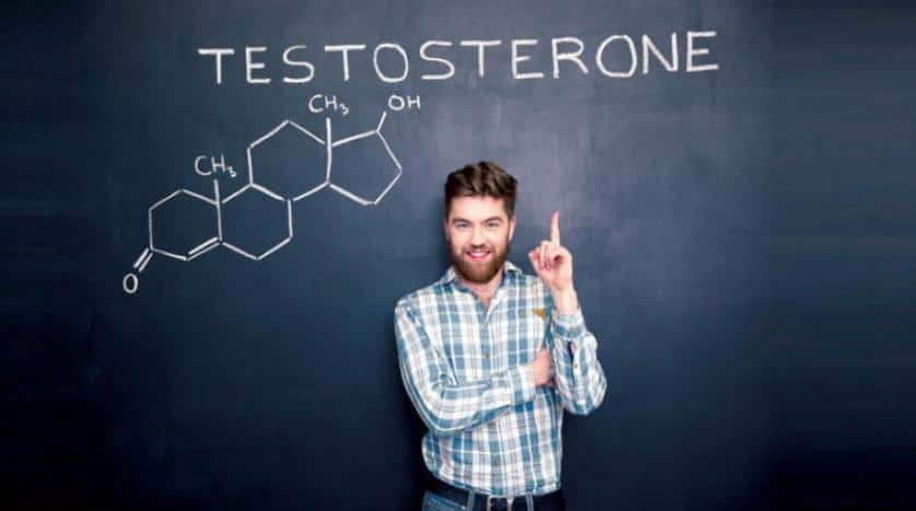 ما هي أهمية هرمون التستوستيرون لدى النساء والرجال؟