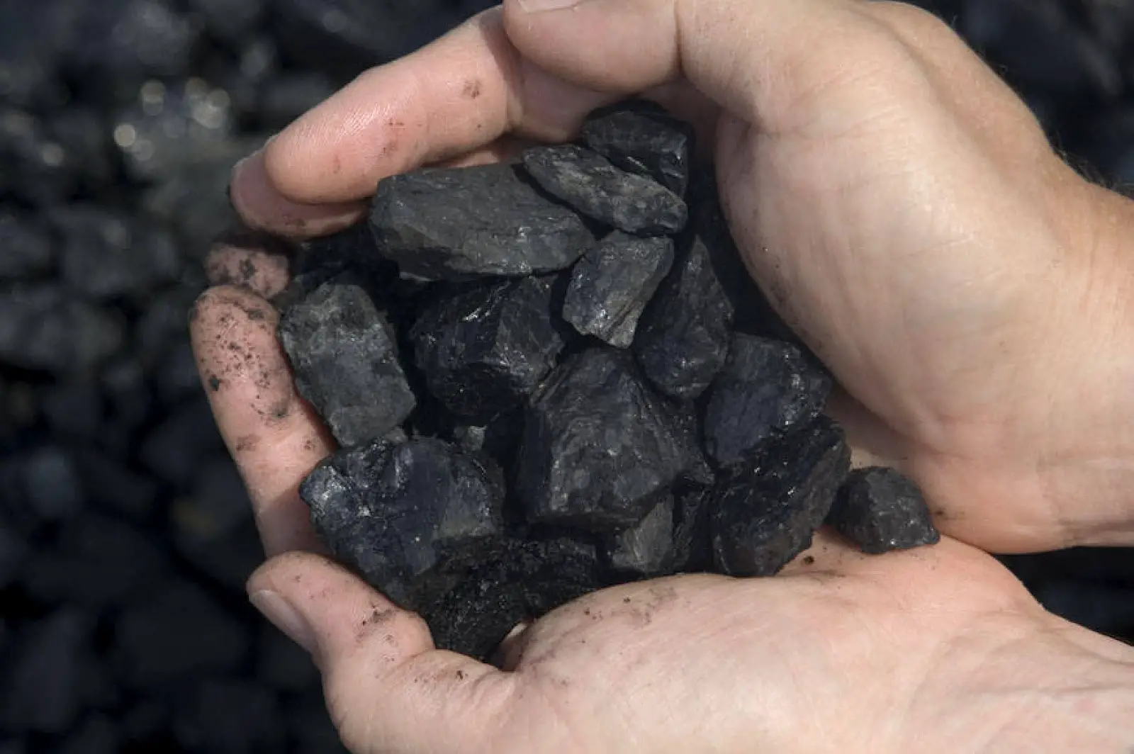  الفحم في المنام