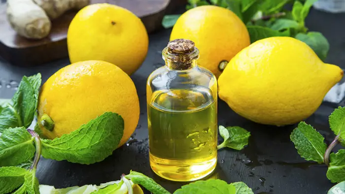 تجربتي مع زيت الزيتون على الريق 